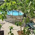 Colak Apartman Zára